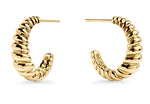 Salerno Crescent Earrings - Gold