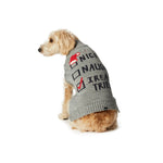 Col roulé en tricot pour chien - Grey Mix