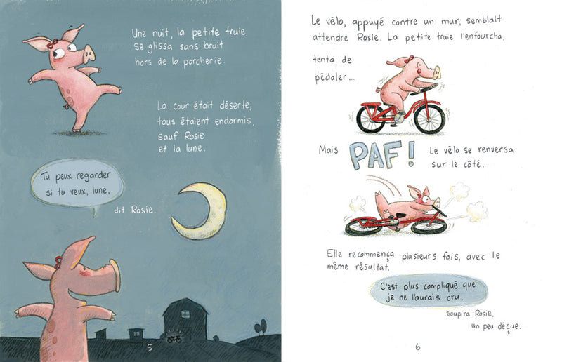 The little sow, the bicycle and the moon